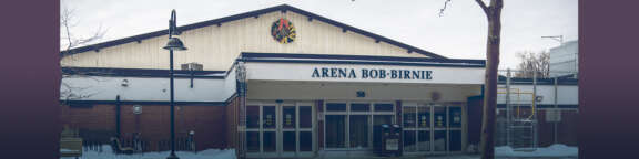 Arena 1