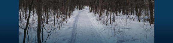 Sentier