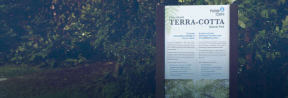 Terra Cotta 1