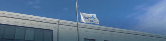 Drapeau berne 1