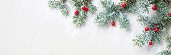 Train Sapin Banniere site web