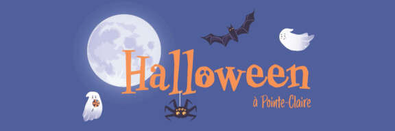Halloween bannière FR