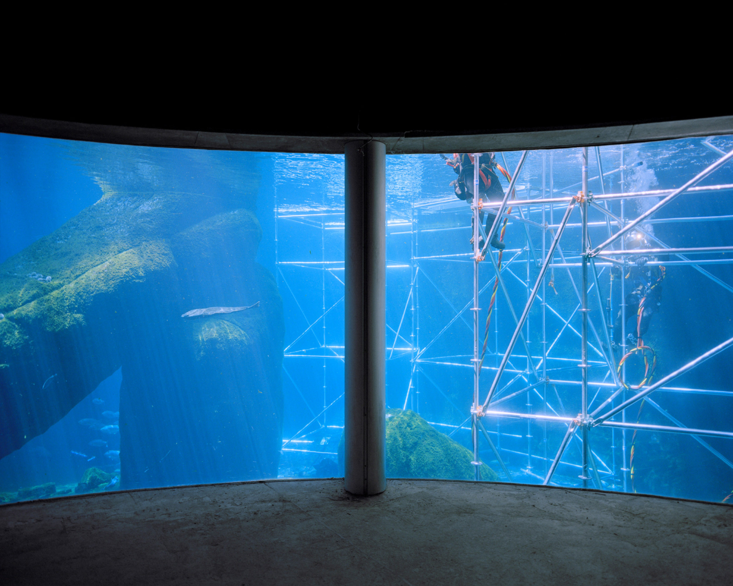 Expo 2 Lacasse Biodome Plateaux 2021