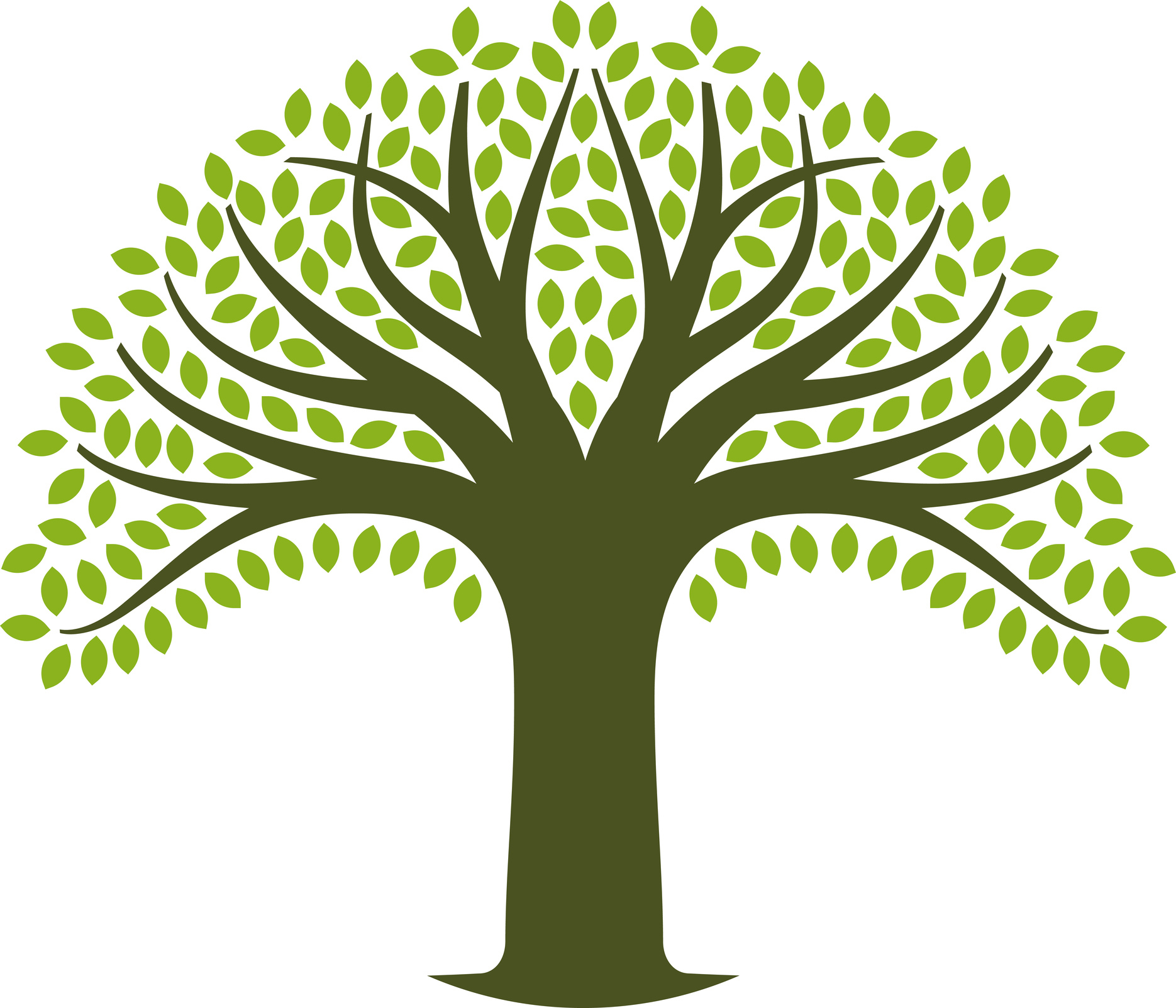 Genealogy