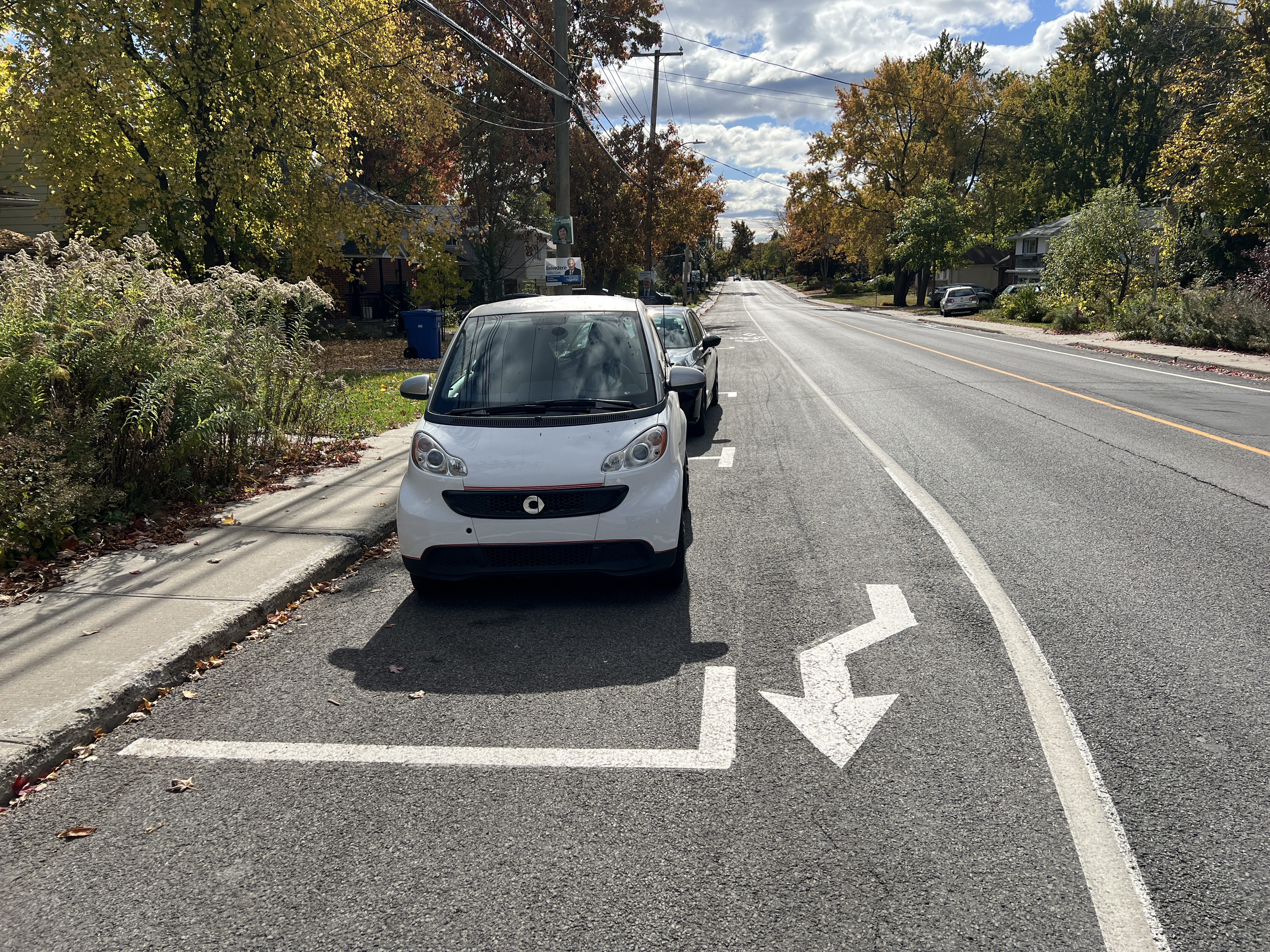 Photo : bande cyclable sur rue sur le boulevard Saint-Jean Sud.