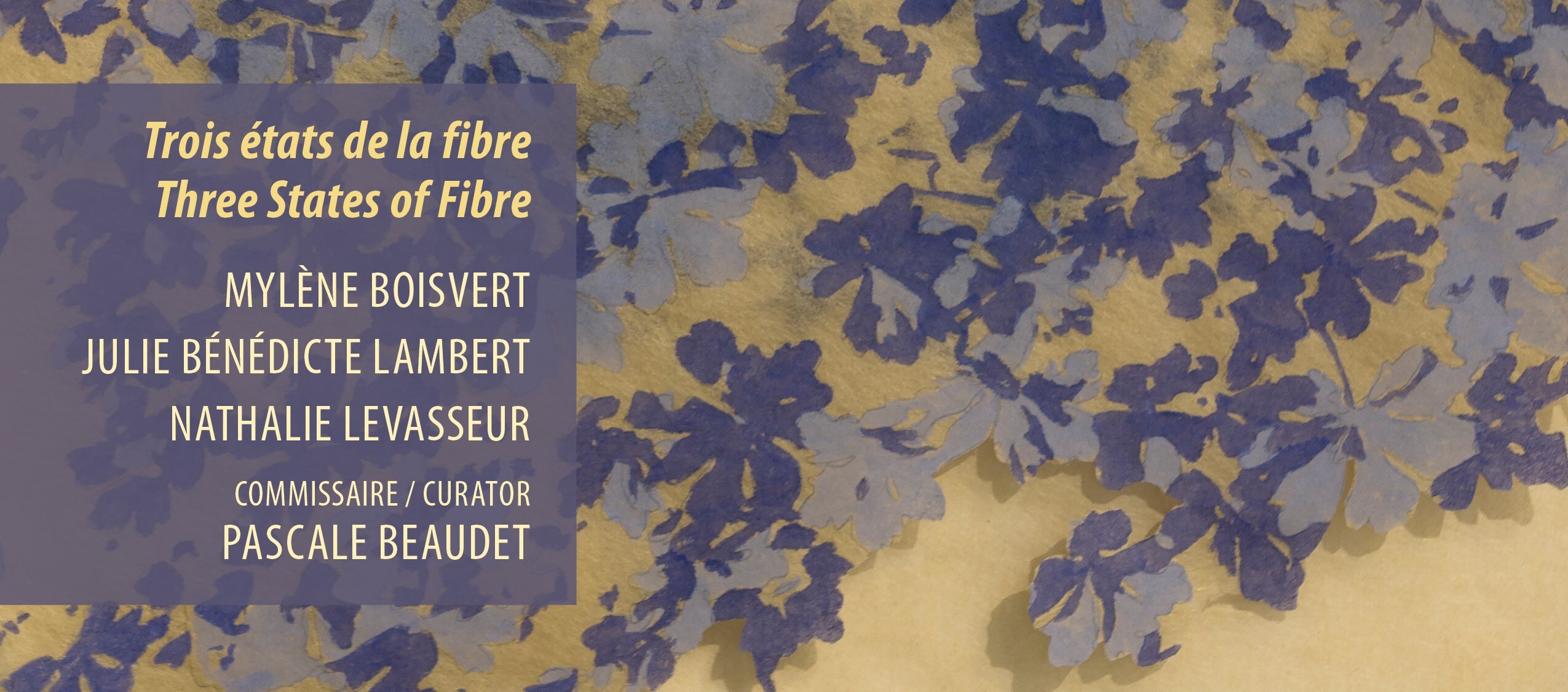 Invitation trois etats de la fibre FRONT