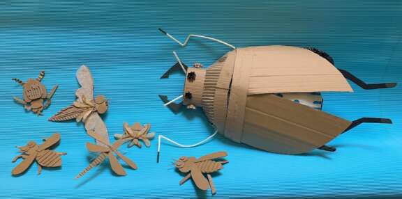 Insectes1
