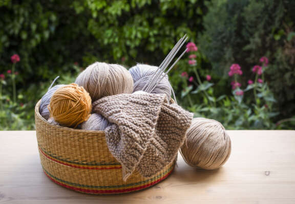 Knitting in Public Day