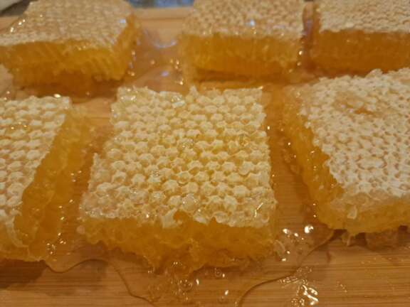 Honey