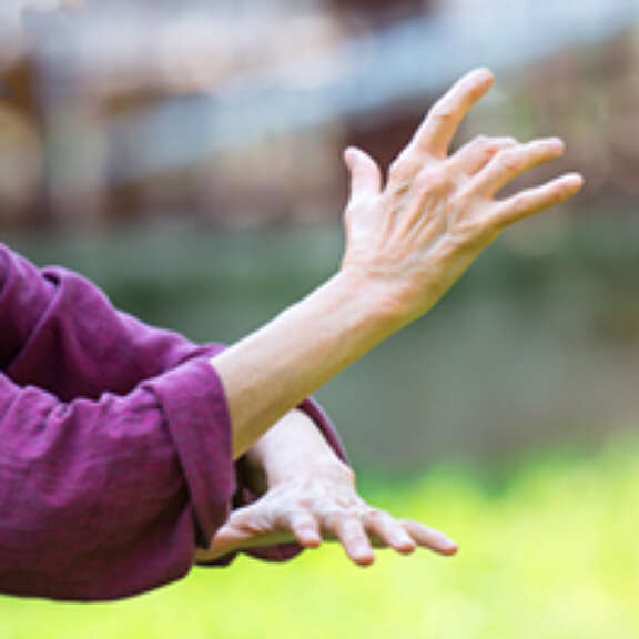 Tai chi chuan