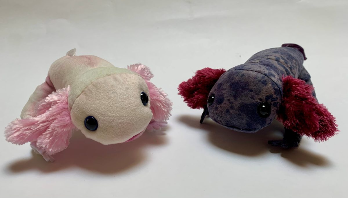 Axo Lotl
