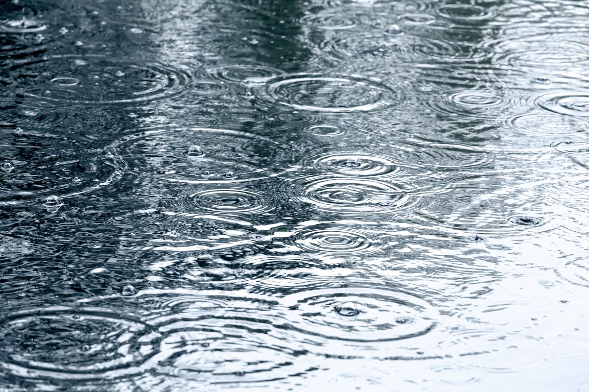 Gouttes de pluie