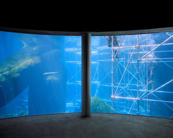 Expo 2 Lacasse Biodome Plateaux 2021