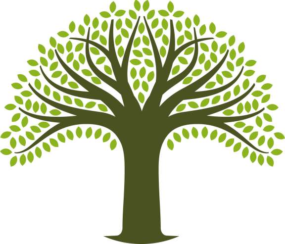 Genealogy