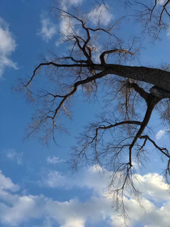 On the way to spring 2024