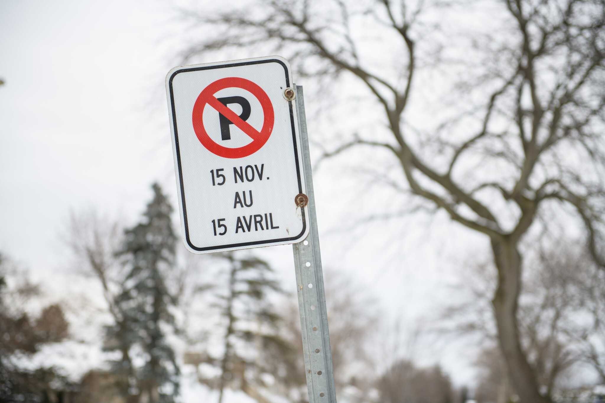 486029044 974528628166756 688991420258014074 n