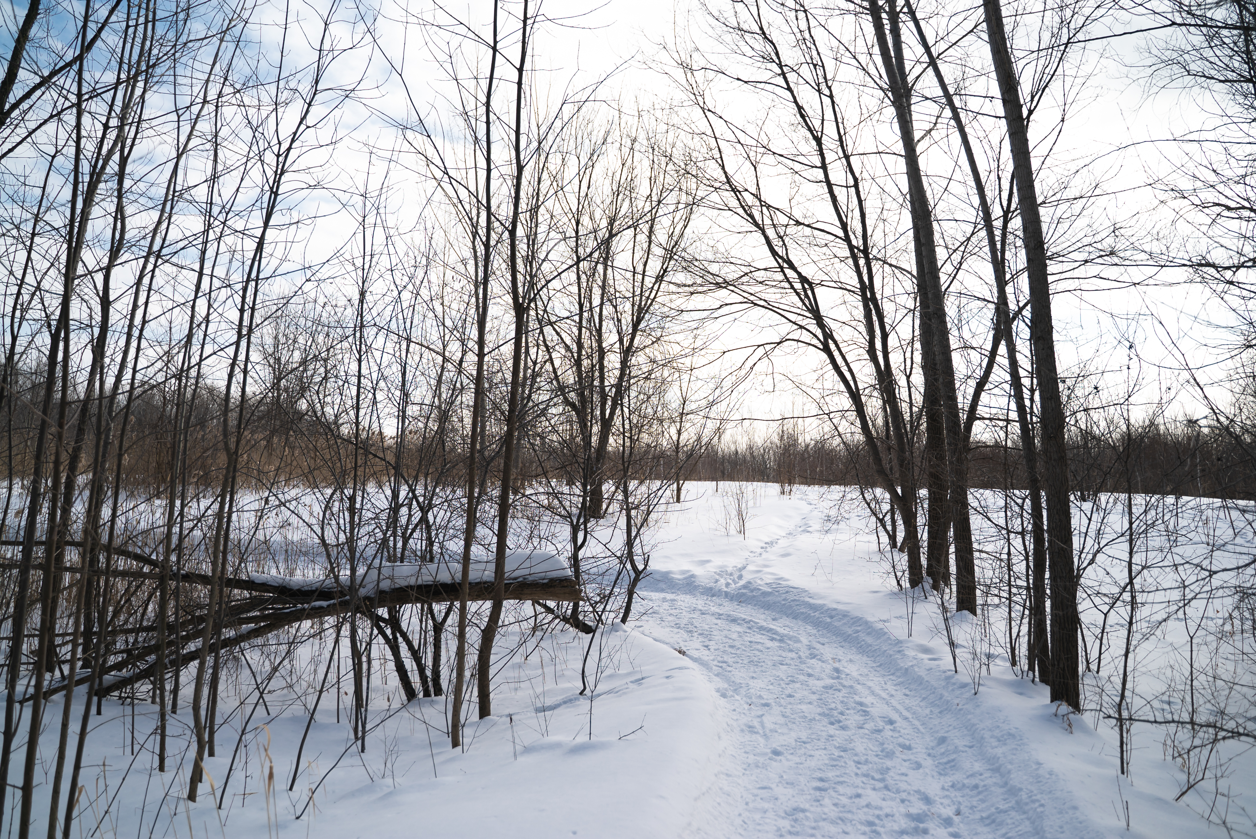 Marche hivernale FB