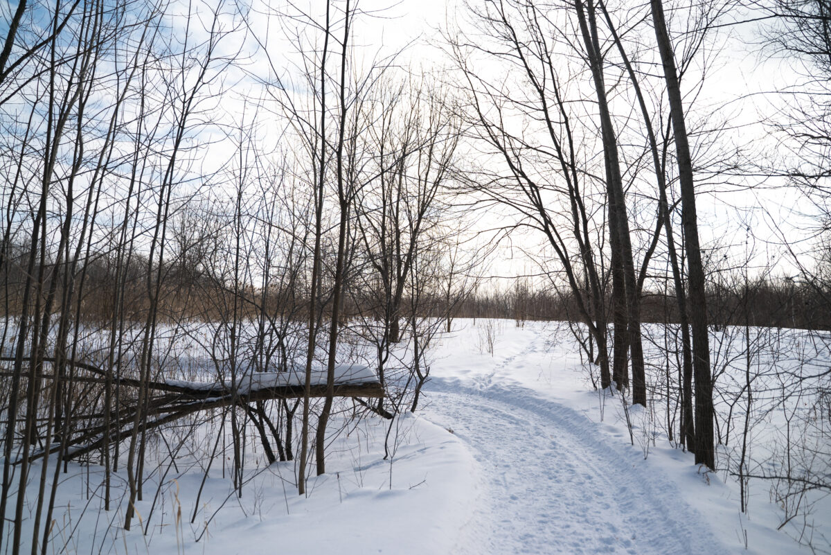 Marche hivernale FB