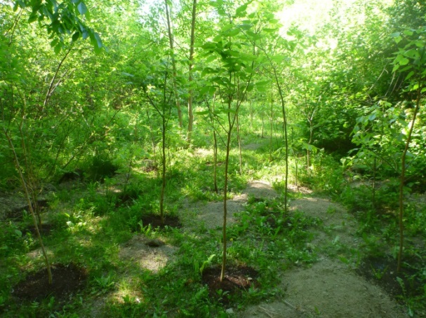 Journee-Nature3